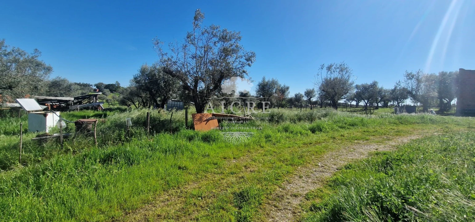 Moradia T6 para Venda em Redondo Foto 36