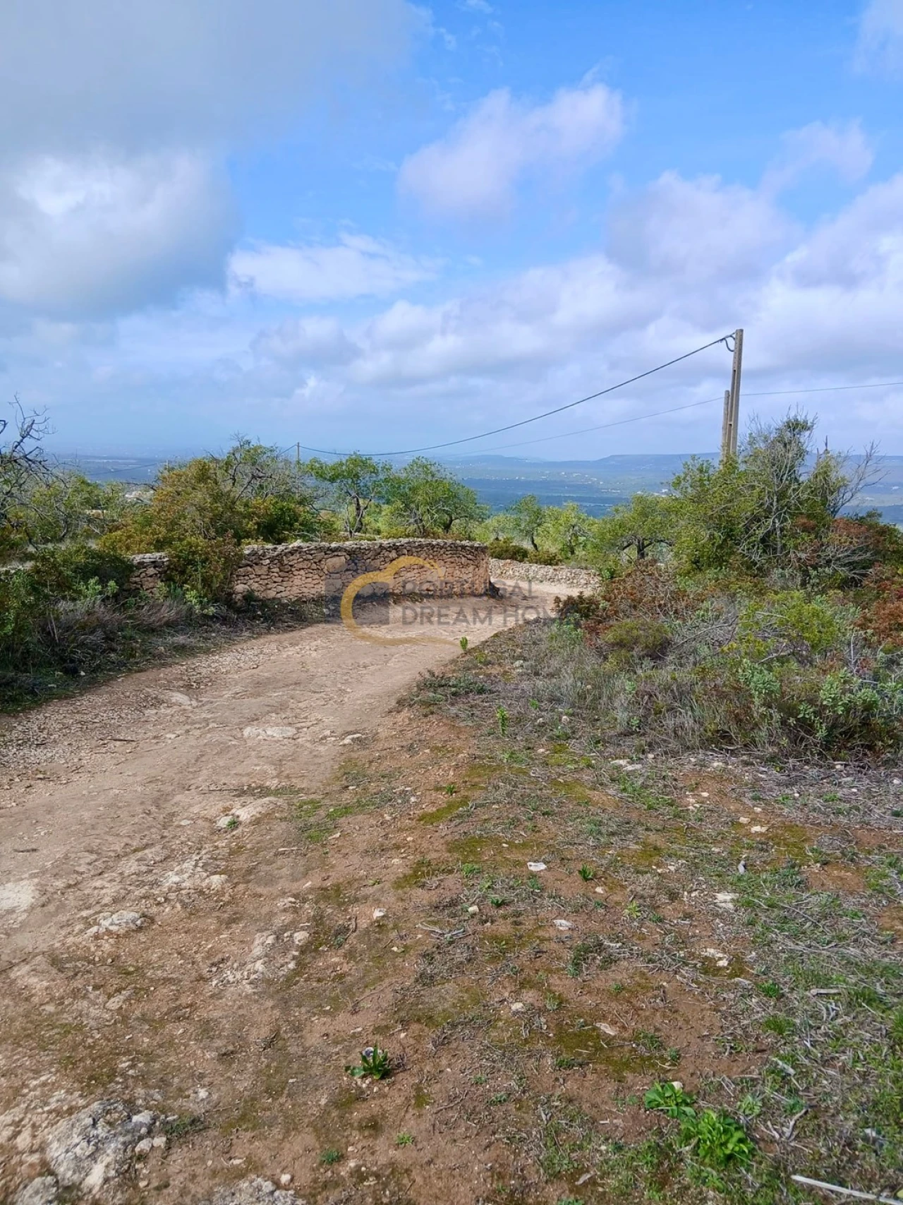 Terreno Agricola ou Rústico para Venda em Paderne Foto 4