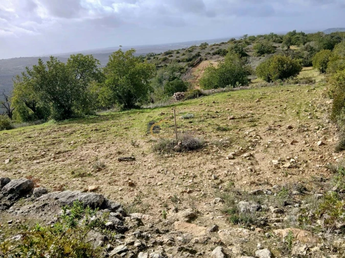 Terreno Agricola ou Rústico para Venda em Paderne Foto 2