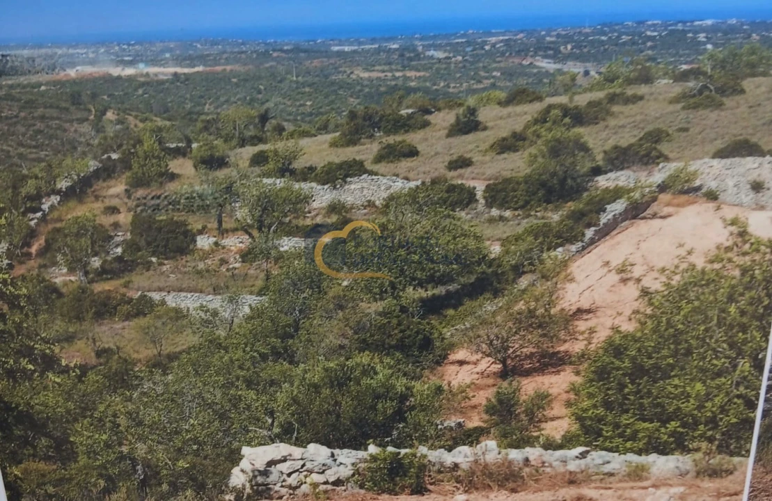 Terreno Agricola ou Rústico para Venda em Paderne Foto 1