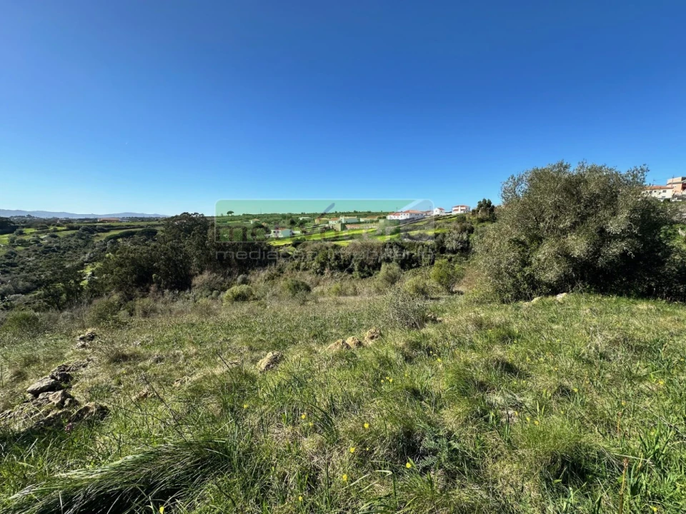 Terreno para Venda em São João das Lampas e Terrugem Foto 1