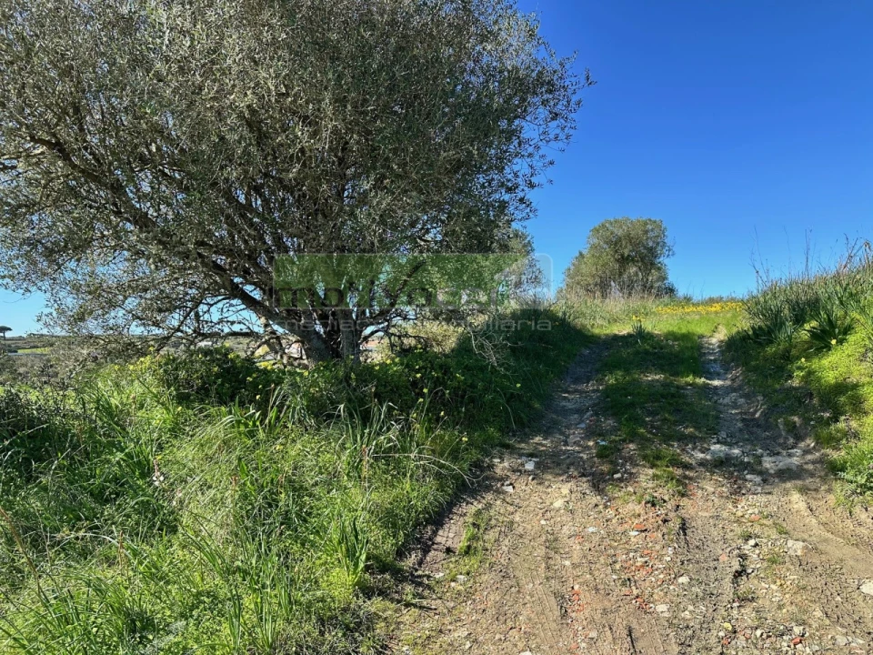 Terreno para Venda em São João das Lampas e Terrugem Foto 4