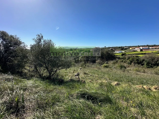 Terreno para Venda em São João das Lampas e Terrugem Foto 5