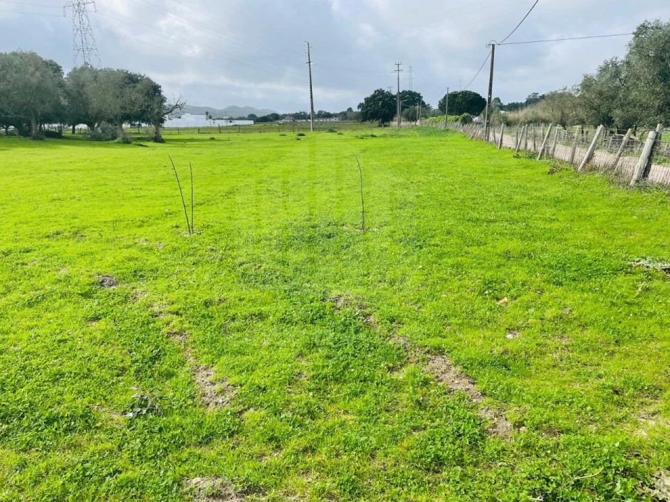 Terreno para Venda em Palmela Foto 1