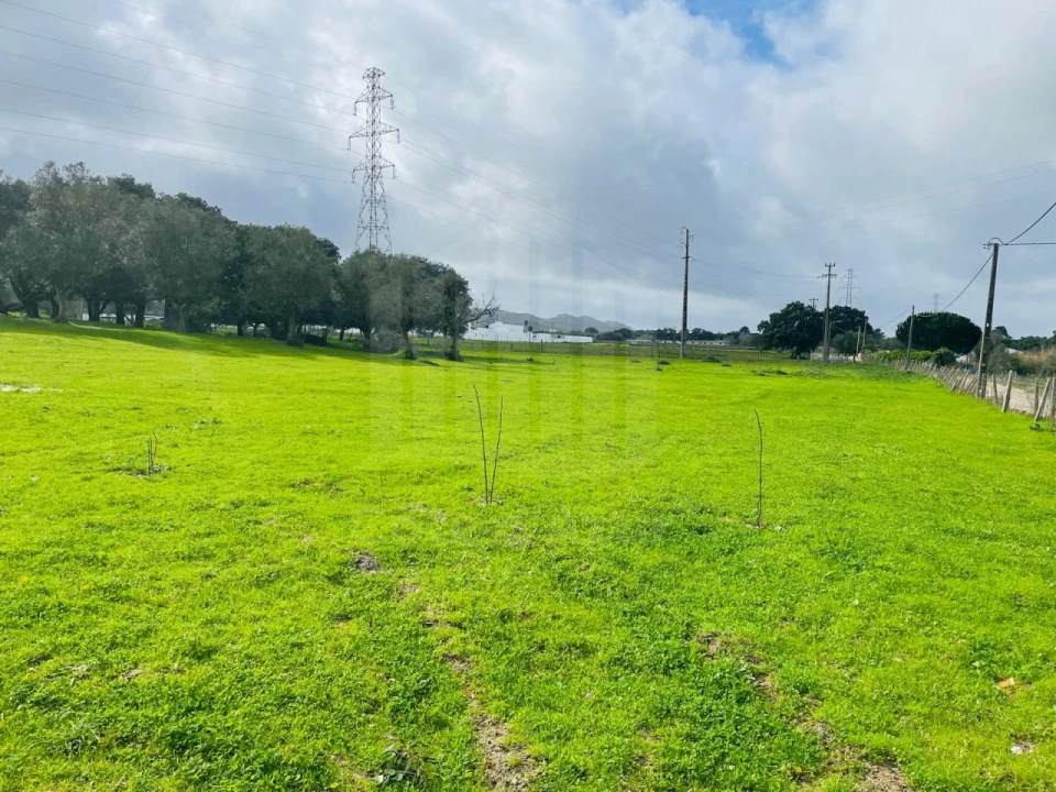 Terreno para Venda em Palmela Foto 4