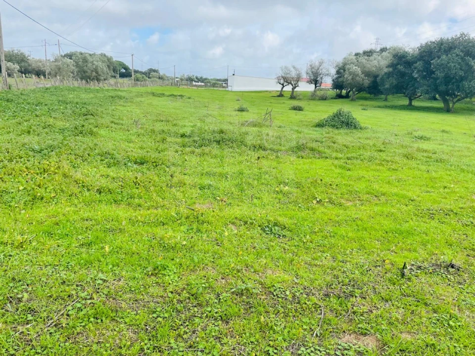 Terreno para Venda em Palmela Foto 5