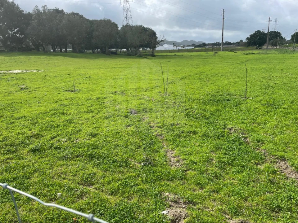 Terreno para Venda em Palmela Foto 6