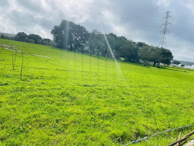 Terreno para Venda em Palmela Foto 3