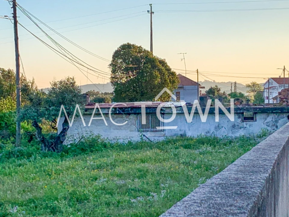 Terreno para Venda em Alcanena e Vila Moreira Foto 11