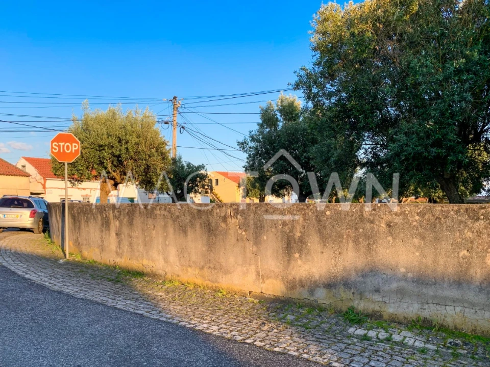 Terreno para Venda em Alcanena e Vila Moreira Foto 13