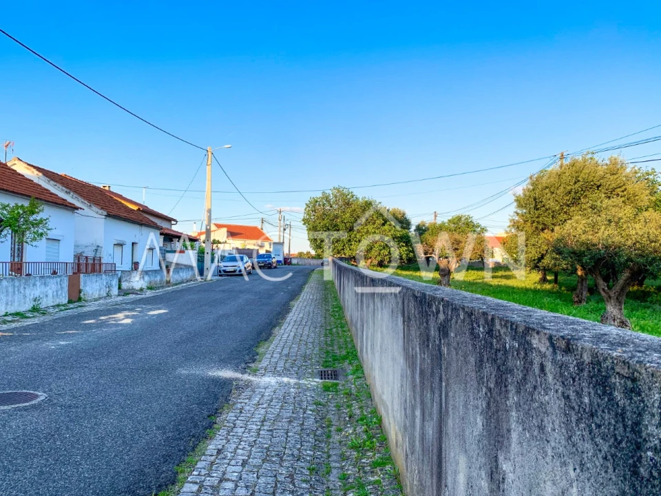 Terreno para Venda em Alcanena e Vila Moreira Foto 15