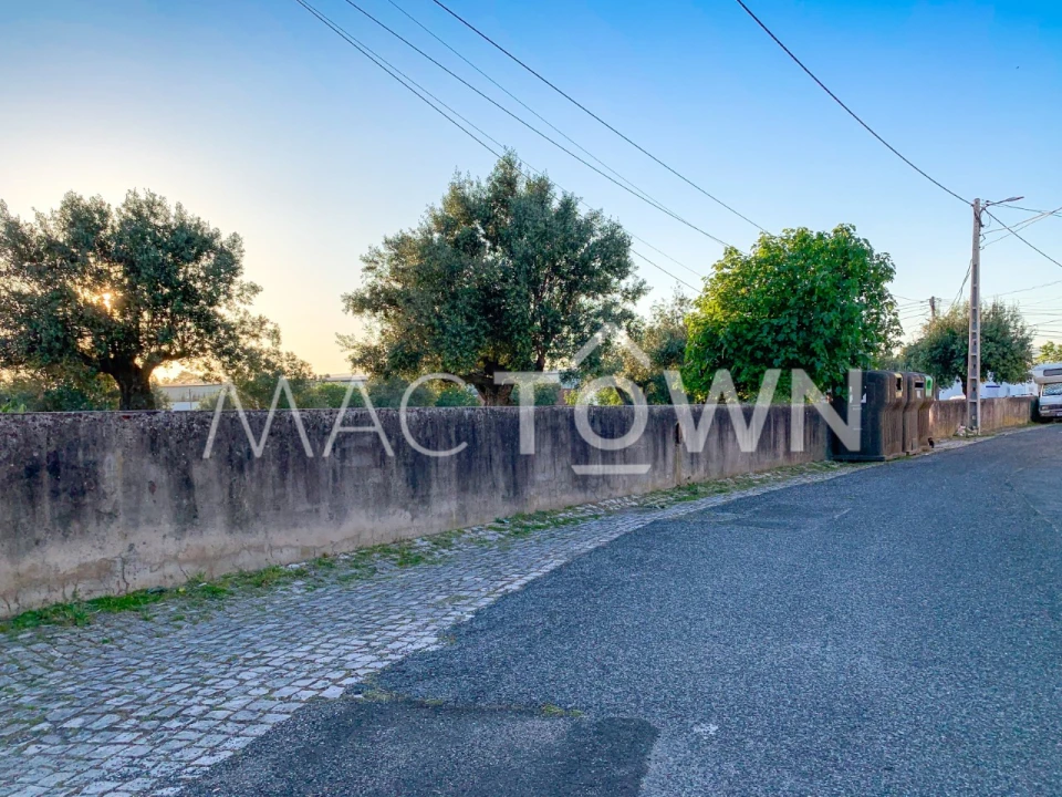 Terreno para Venda em Alcanena e Vila Moreira Foto 16