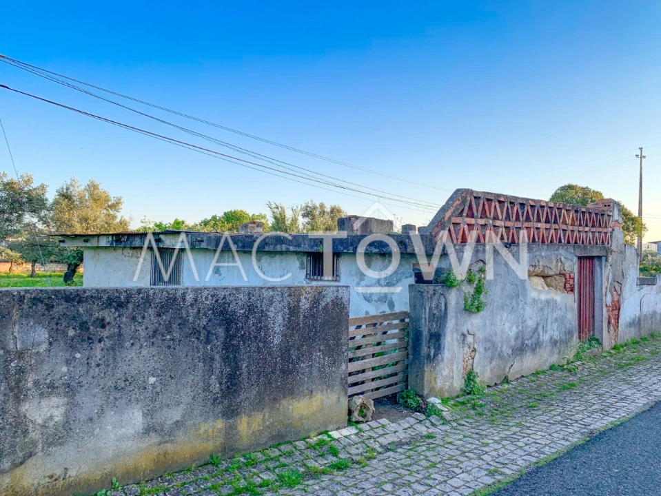 Terreno para Venda em Alcanena e Vila Moreira Foto 18