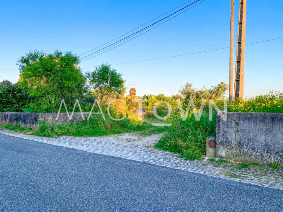 Terreno para Venda em Alcanena e Vila Moreira Foto 24