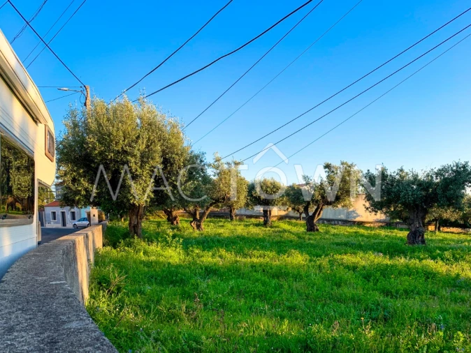 Terreno para Venda em Alcanena e Vila Moreira Foto 5