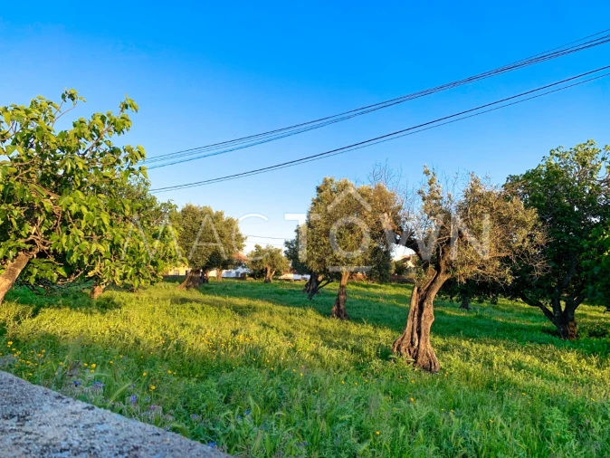 Terreno para Venda em Alcanena e Vila Moreira Foto 10