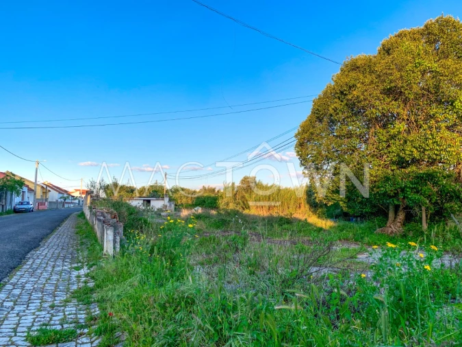 Terreno para Venda em Alcanena e Vila Moreira Foto 23