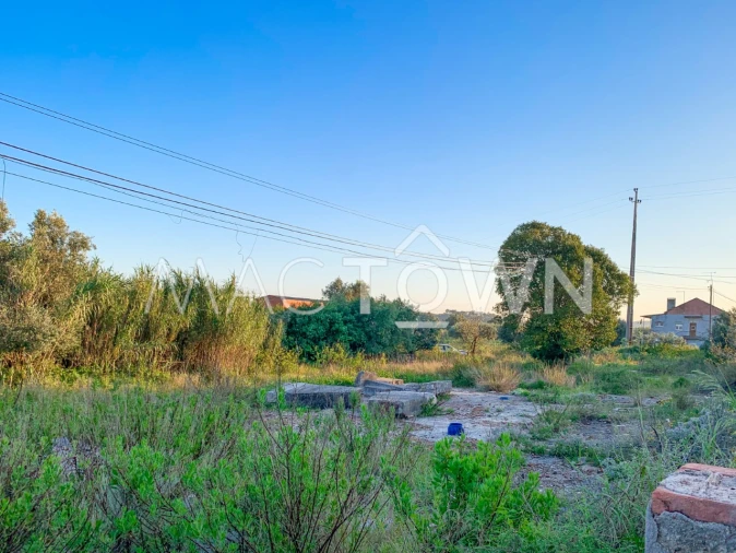 Terreno para Venda em Alcanena e Vila Moreira Foto 25