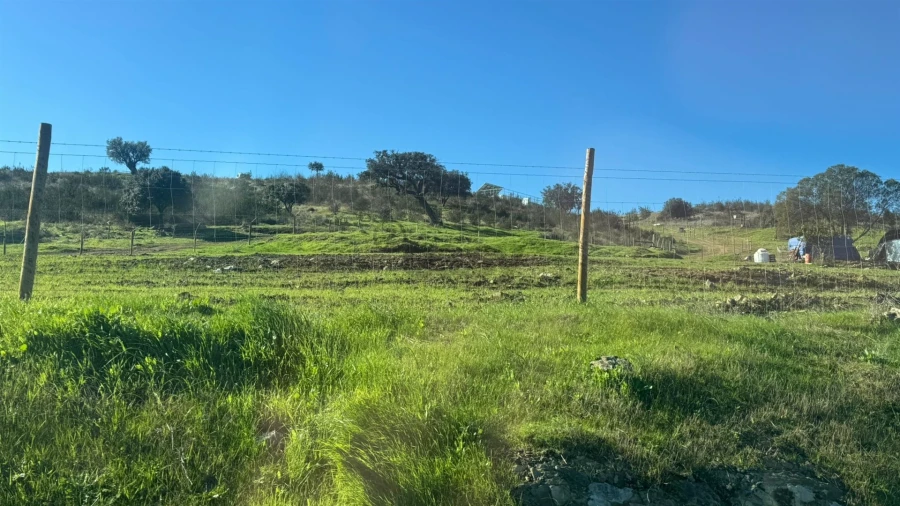 Terreno para Venda em Santa Barbara de Padrões Foto 18