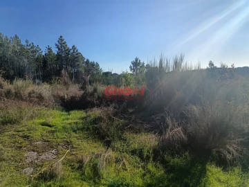 Terreno para Venda em Repeses e São Salvador