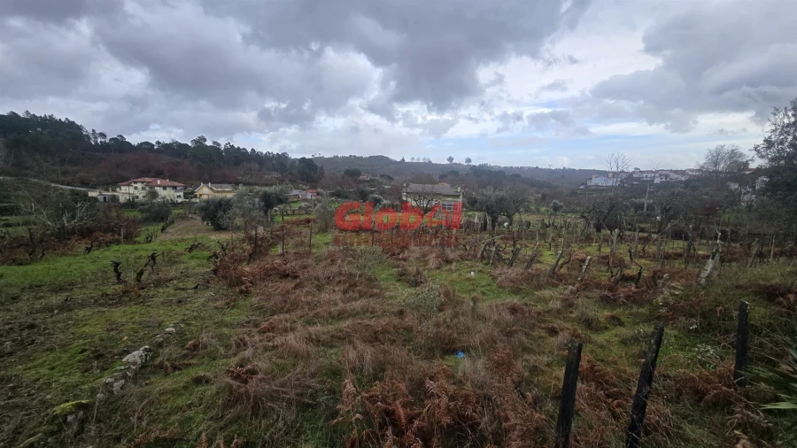 Terreno Agricola ou Rústico para Venda em Santos Evos Foto 2