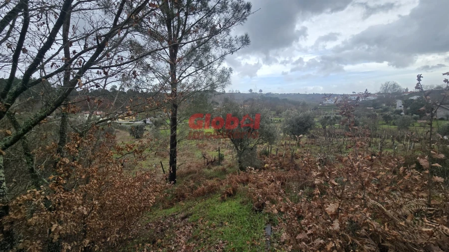 Terreno Agricola ou Rústico para Venda em Santos Evos Foto 4