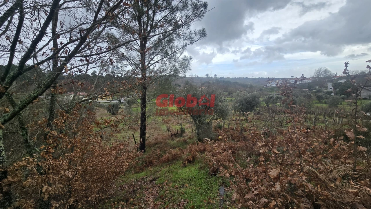 Terreno Agricola ou Rústico para Venda em Santos Evos Foto 4