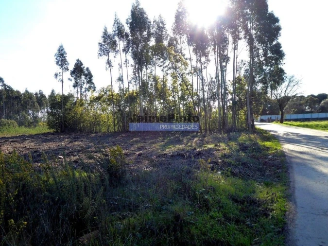 Terreno Agricola ou Rústico para Venda em Cacia Foto 2