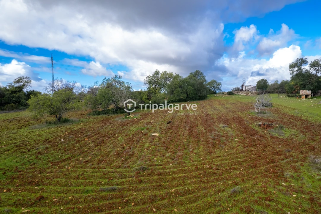 Terreno Misto para Venda em Albufeira e Olhos de Água Foto 18