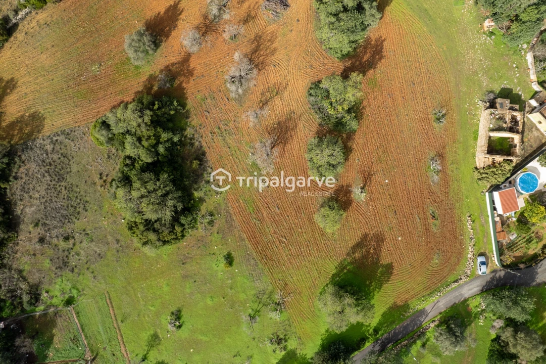 Terreno Misto para Venda em Albufeira e Olhos de Água Foto 13