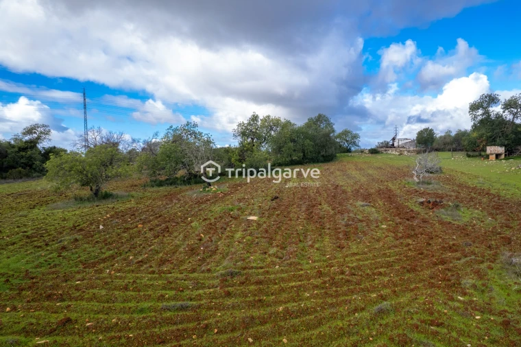 Terreno Misto para Venda em Albufeira e Olhos de Água Foto 18
