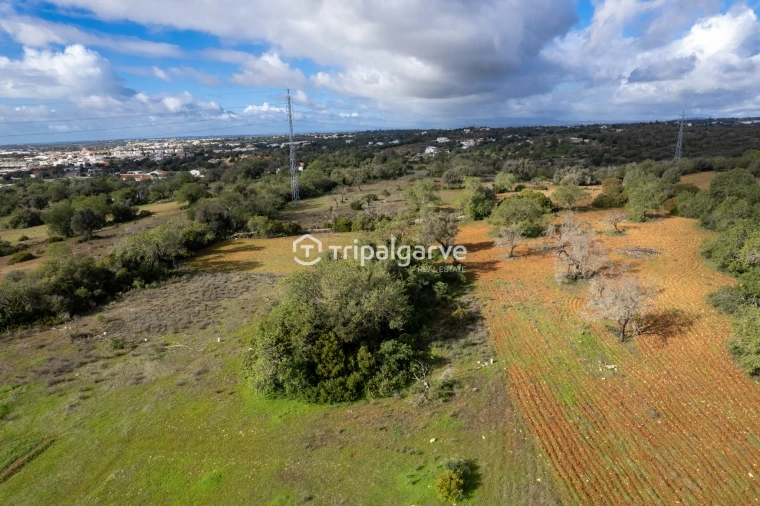 Terreno Misto para Venda em Albufeira e Olhos de Água Foto 17