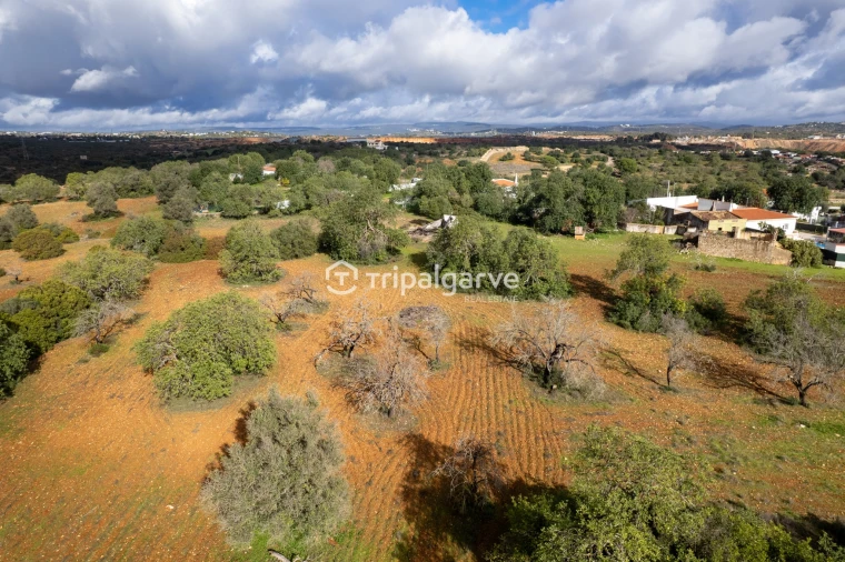 Terreno Misto para Venda em Albufeira e Olhos de Água Foto 14
