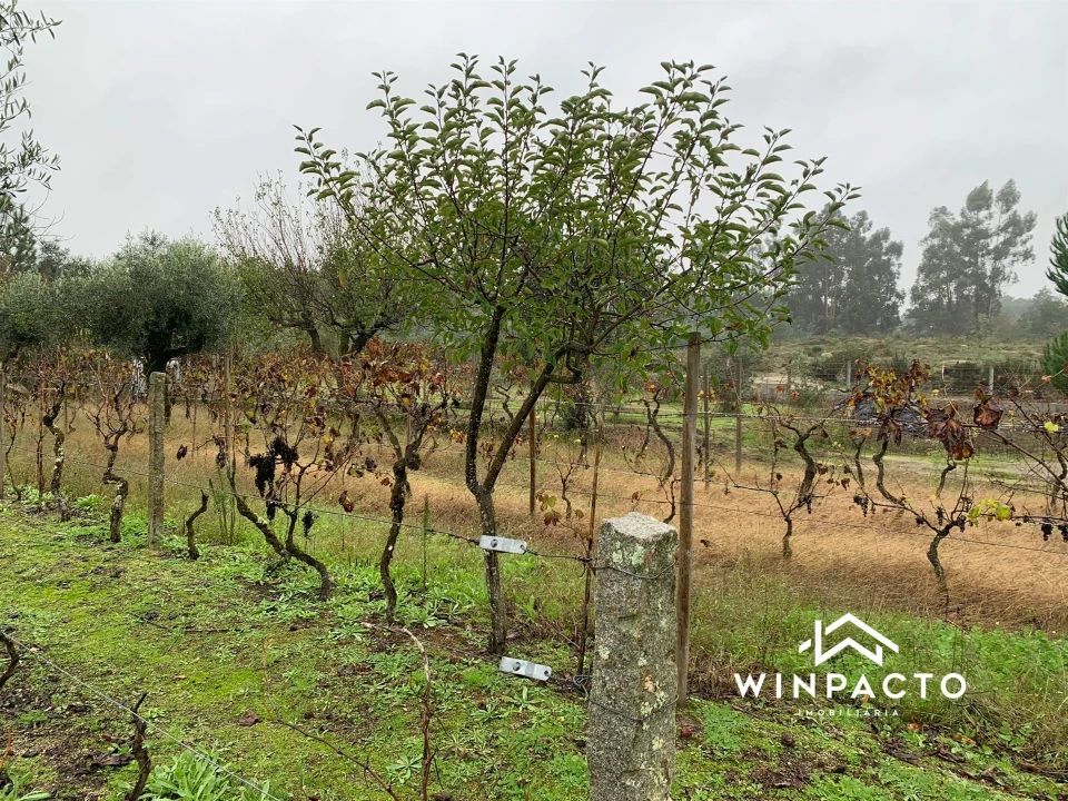 Quinta T0 para Venda em Canas de Senhorim Foto 20