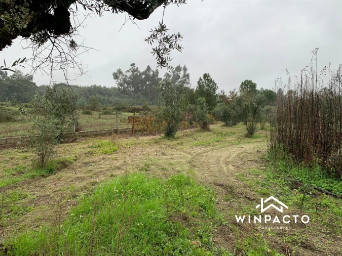 Quinta T0 para Venda em Canas de Senhorim Foto 15