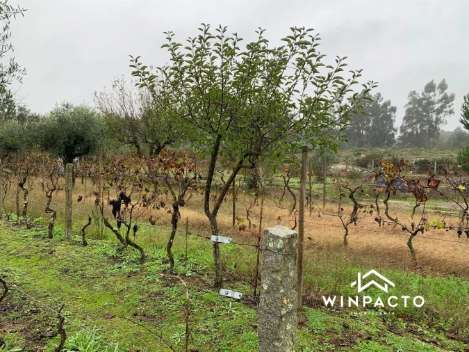 Quinta T0 para Venda em Canas de Senhorim Foto 20