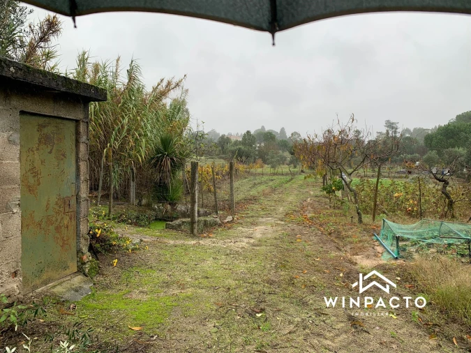 Quinta T0 para Venda em Canas de Senhorim Foto 22