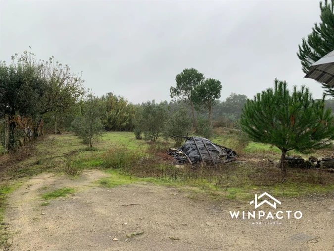 Quinta T0 para Venda em Canas de Senhorim Foto 19