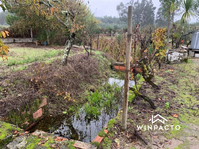 Quinta T0 para Venda em Canas de Senhorim Foto 11