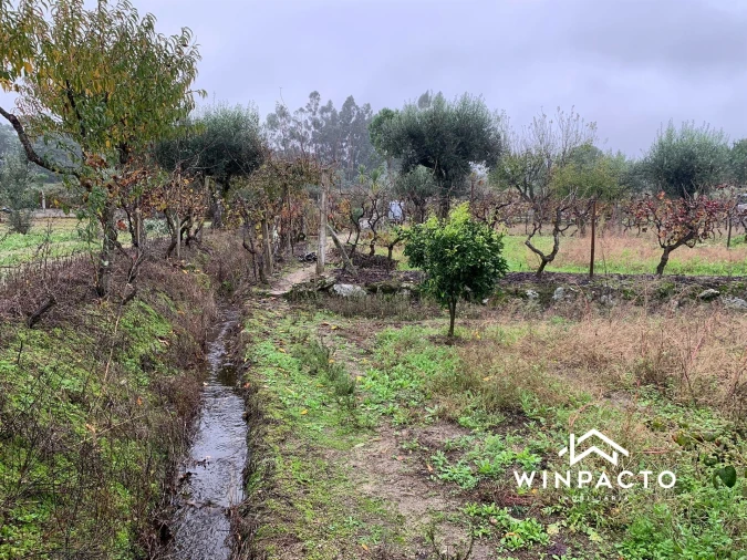 Quinta T0 para Venda em Canas de Senhorim Foto 3