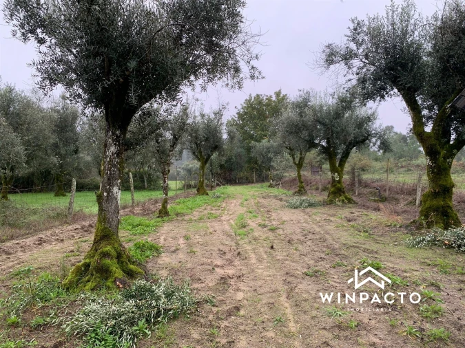 Quinta T0 para Venda em Canas de Senhorim Foto 12