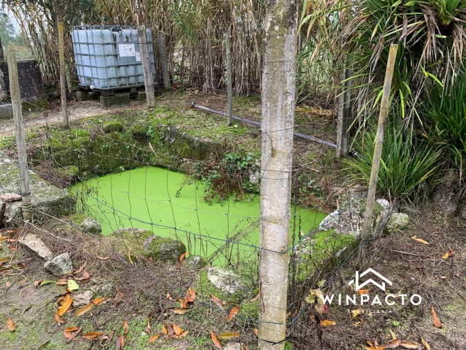 Quinta T0 para Venda em Canas de Senhorim Foto 8