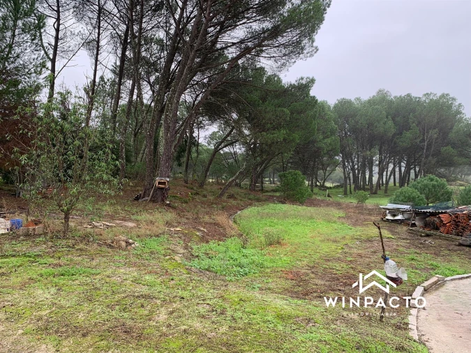 Quinta T0 para Venda em Canas de Senhorim Foto 7
