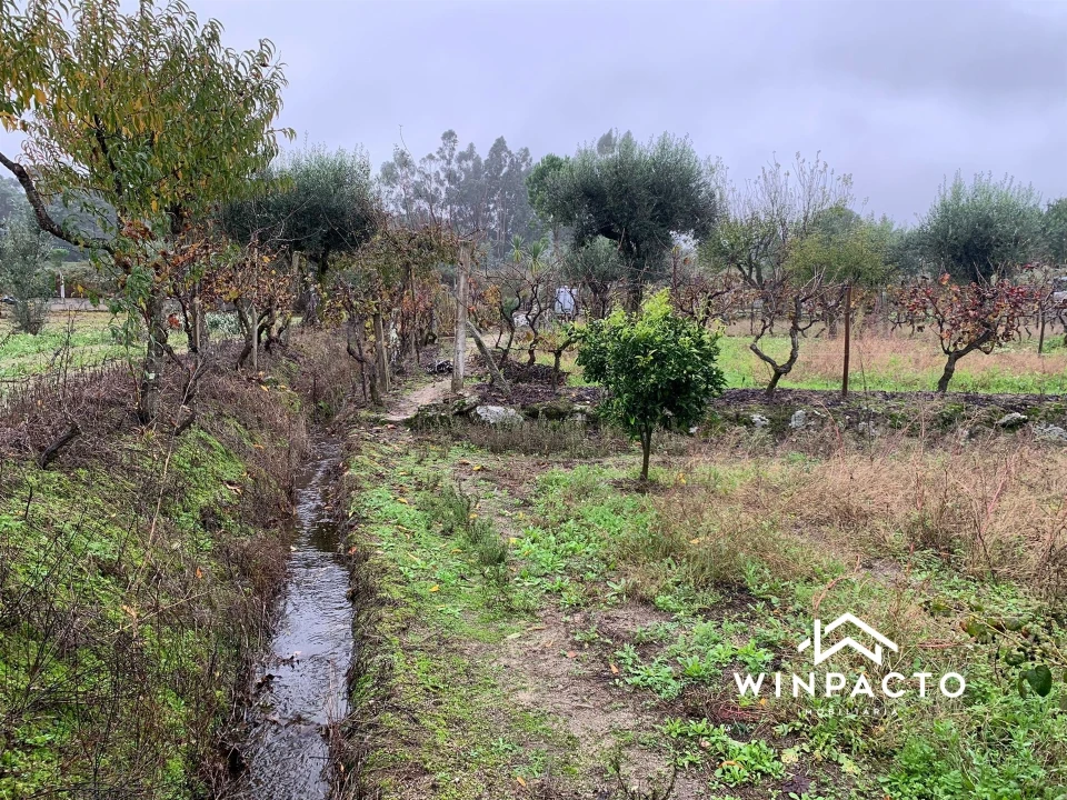 Quinta T0 para Venda em Canas de Senhorim Foto 3