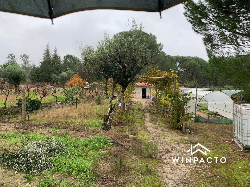 Quinta T0 para Venda em Canas de Senhorim Foto 16