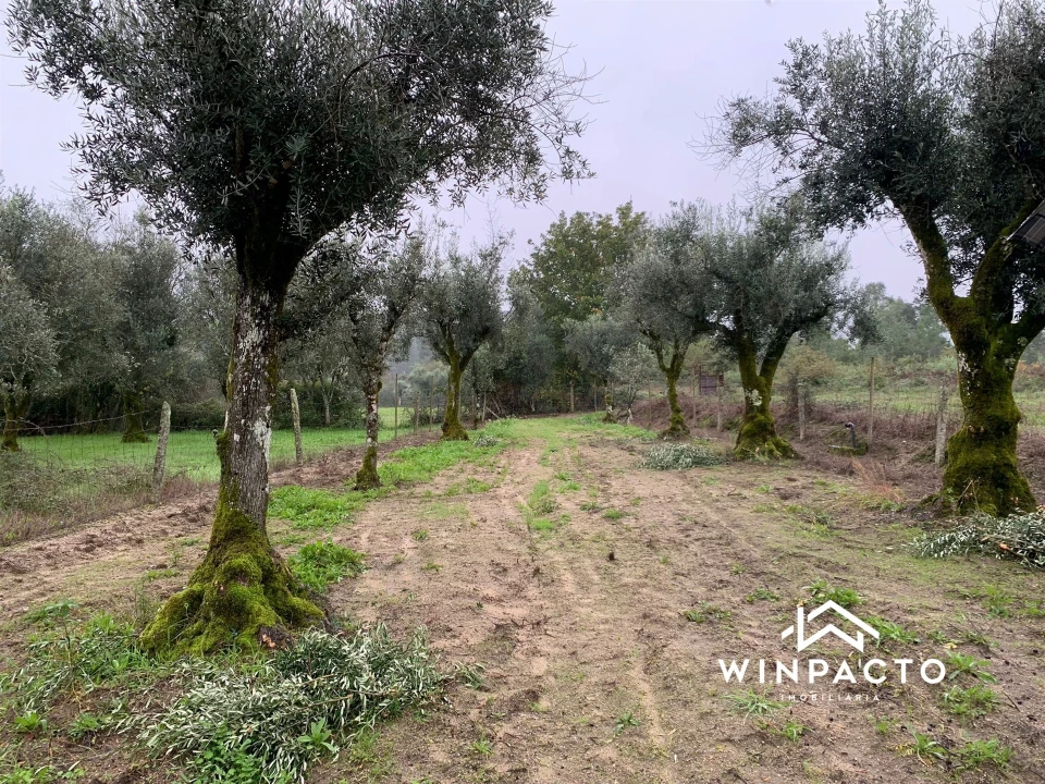 Quinta T0 para Venda em Canas de Senhorim Foto 12