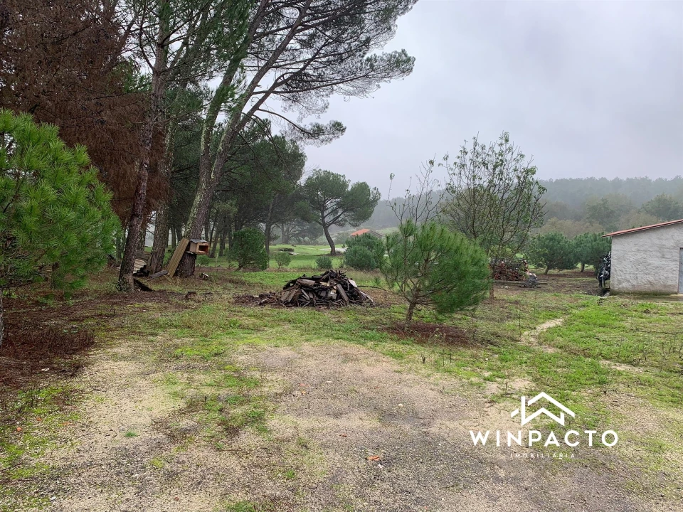 Quinta T0 para Venda em Canas de Senhorim Foto 5