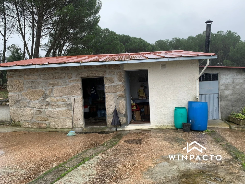 Quinta T0 para Venda em Canas de Senhorim Foto 1