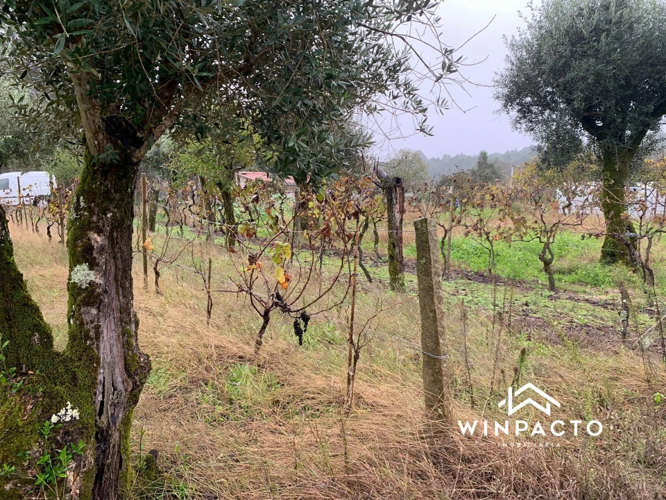 Quinta T0 para Venda em Canas de Senhorim Foto 24