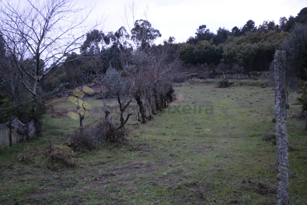 Moradia para Venda em Penhalonga e Paços de Gaiolo Foto 16